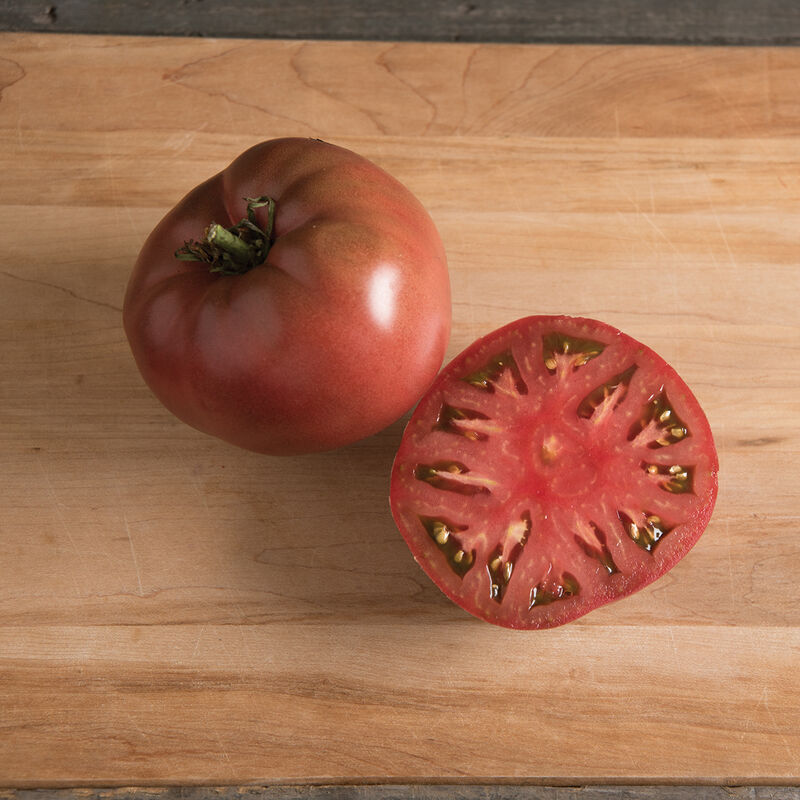 Carbon Heirloom Tomato - 4 in. Potted Plant – Common Root Farm