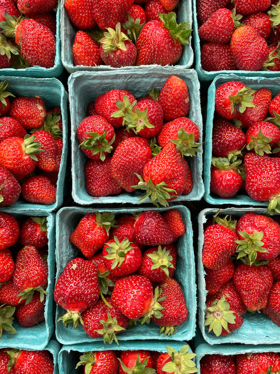Strawberries and Caneberries - <span style='font-size:0.5em;'>grey mold</span>  - Agriculture and Natural Resources Blogs