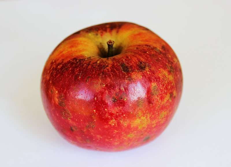 King David Apple Sweet/Tart *SOFT APPLES FOR COOKING OR CIDER