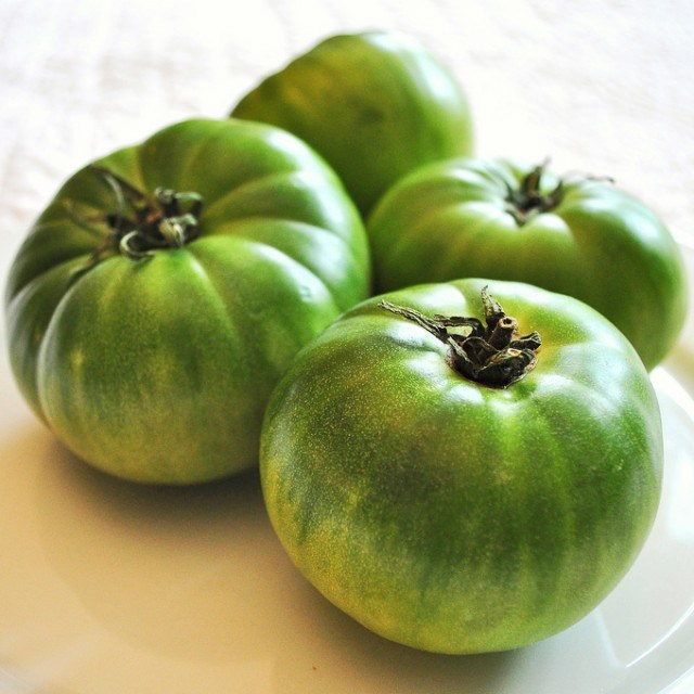 Green Tomatoes - 1# – Common Root Farm
