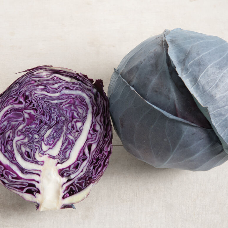 Red Cabbage - Personal Size 1.5-2# - 1 Head