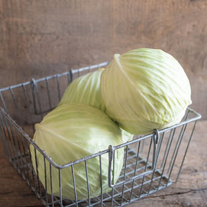 Green Cabbage - 1.5-2# Personal Size - 1 Head