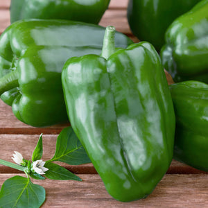 Green Peppers - 2#