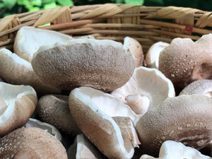 Shiitake Mushrooms - 1/2#