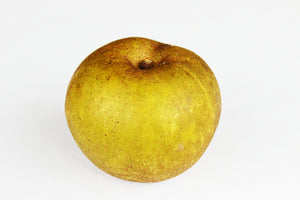 Ashmead's Kernel Apple - Sweet/Tart