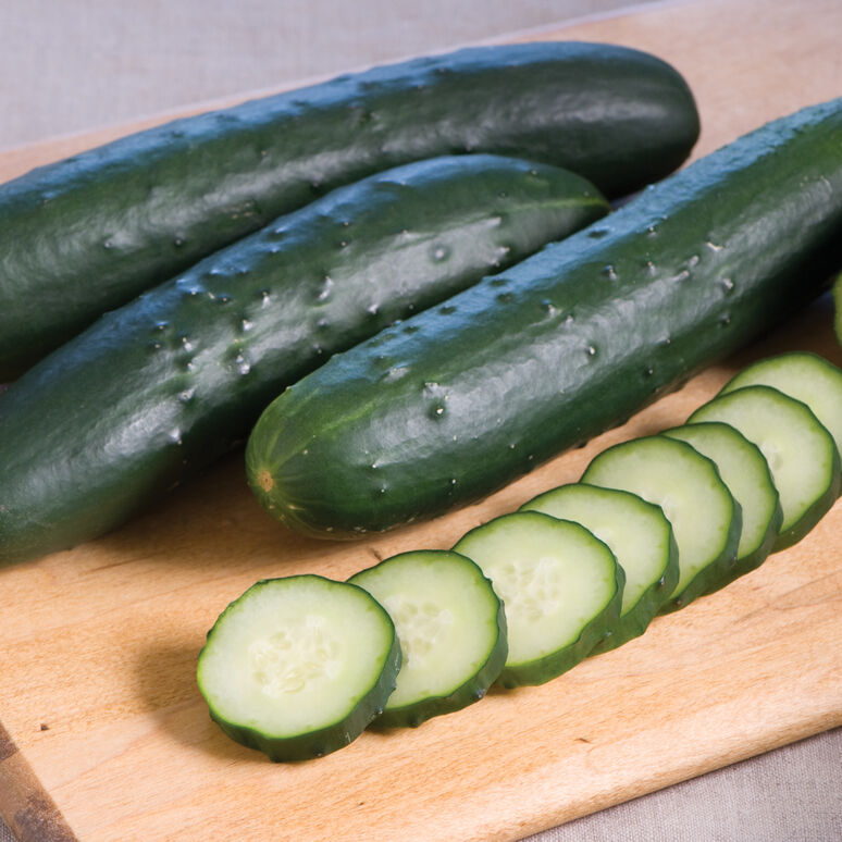 Cucumber - 1 cuc.