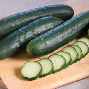 POS Cucumber - 1 cuc.