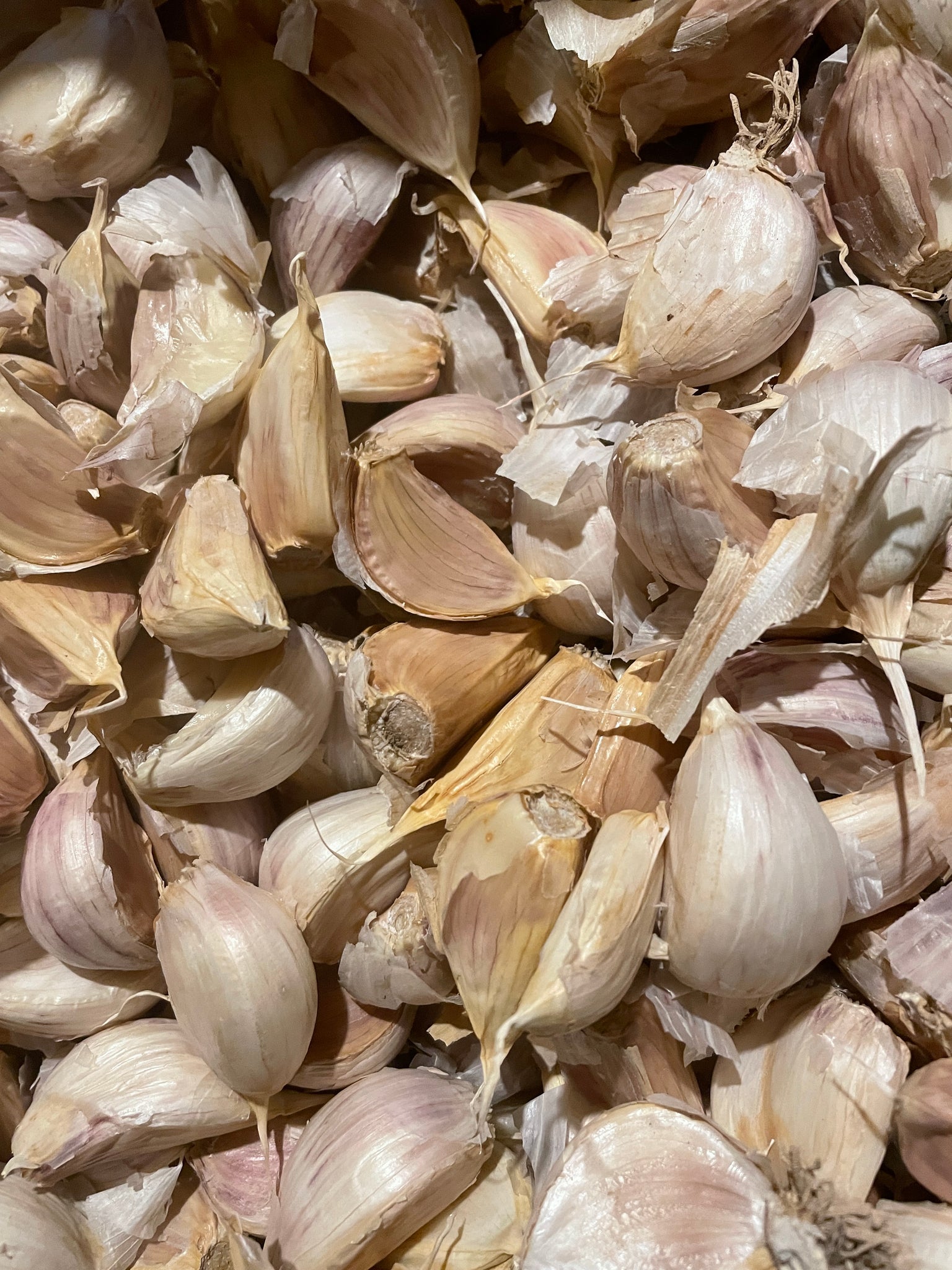Loose Garlic - 1/4# - Fraser's Garlic Farm NY