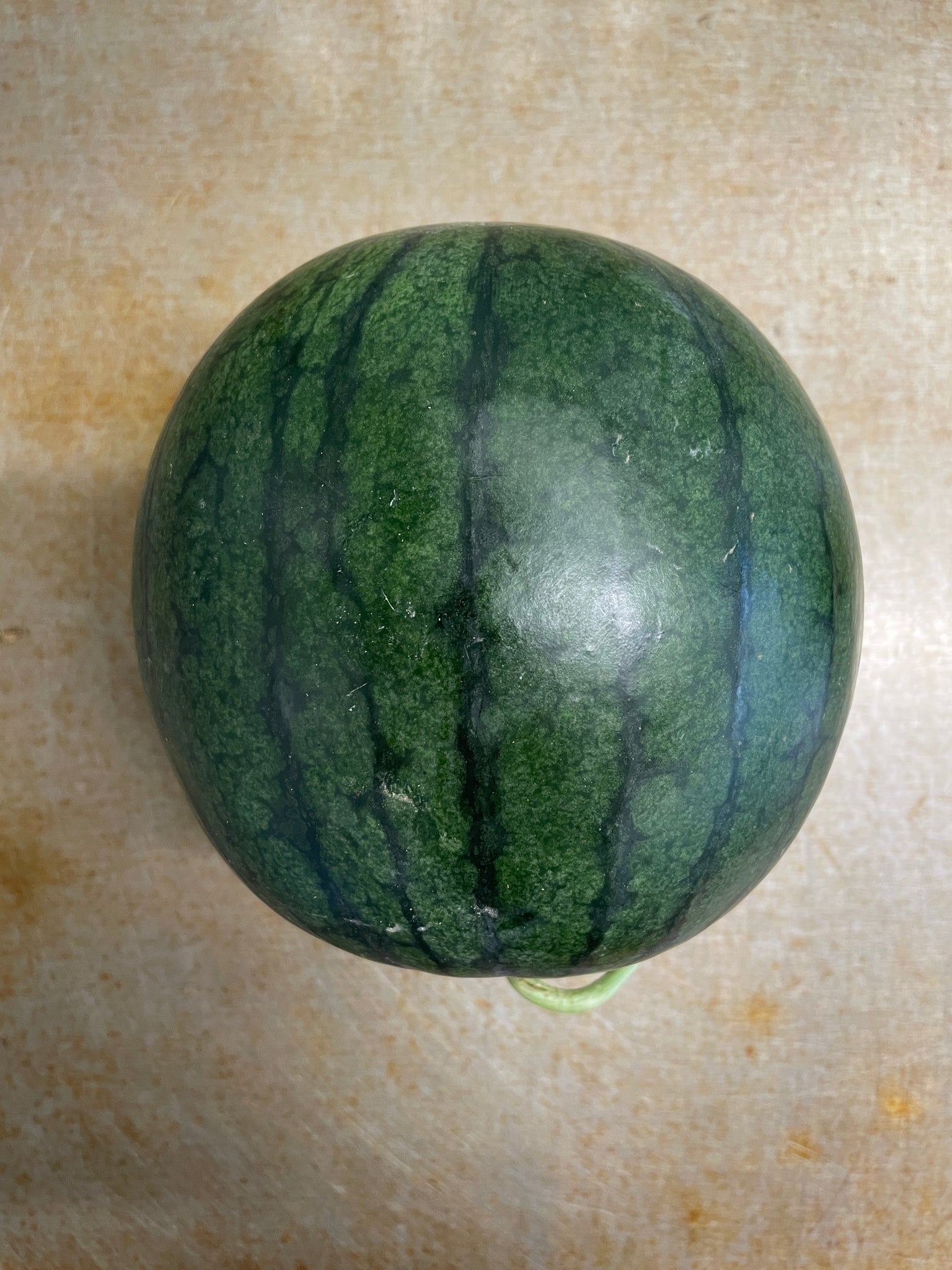 Natsu Coco Watermelon, Seeded - Personal Size