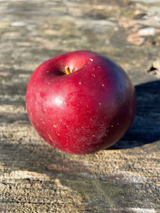 Enterprise Apples - One Pound