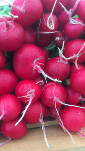 Red Radishes - 1 Bunch