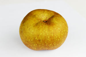 Roxbury Russet Apple - Sweet