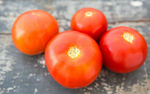 Red Slicer Tomato – New South Memphis