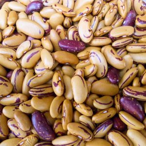 Tiger's Eye Beans - 1# Bag