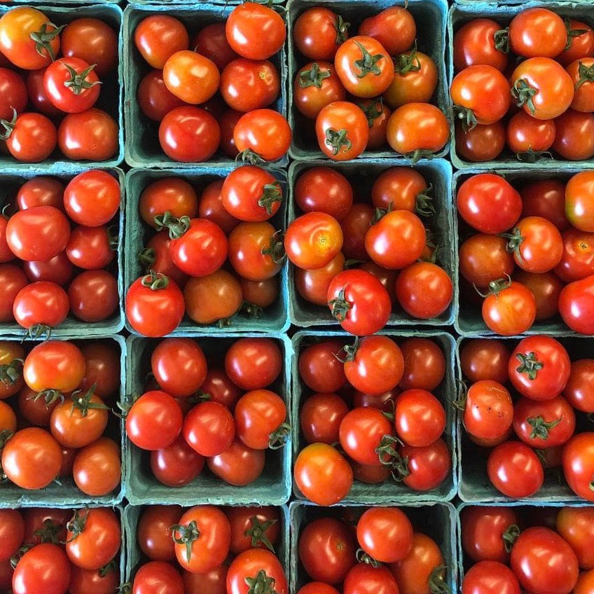 POS Red and Gold Cherry Tomatoes - 1 Pint